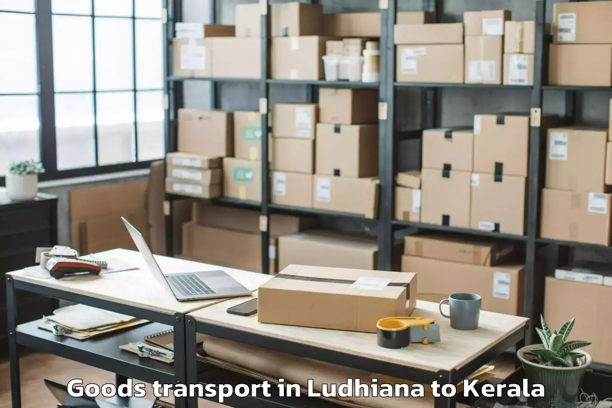 Efficient Ludhiana to Kerala Kalamandalam Cheruthuru Goods Transport